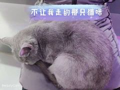 -极木²邸 人与宠物·互动社区