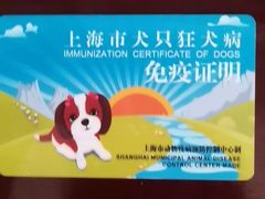 -申普宠物医院·眼科·心内科·影像科(普陀分院)