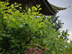 -宝鸡植物园