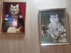 -MOCHA明星猫咖(田子坊店)
