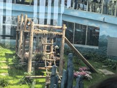 -大连森林动物园