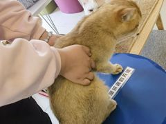 -平行世界·猫咖(首经贸店)