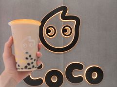 双拼奶茶-CoCo都可(新太阳宫店)