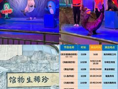 -芜湖新华联大白鲸海洋公园