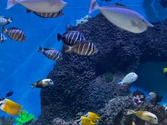 -横店影视城梦幻谷园区