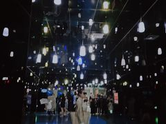-西双版纳原始森林公园
