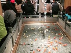 -四季民福烤鸭店(前门店)