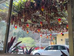 -区海鸡场饭店(石壁店)