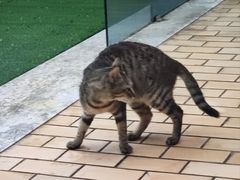 -UNIUNI(凯瑟琳广场店)