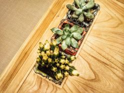 -FineYoga梵音瑜伽·普拉提