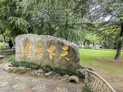 -水绘园