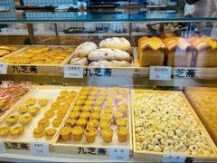 -九芝斋(解放路店)