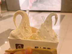 -野人先生Gelato(上海长宁龙之梦店)