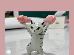 -四月宠物医院·猫专科·心脏专科·内科(转塘店)