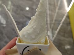 -野人先生现做冰淇淋(西安赛格店)