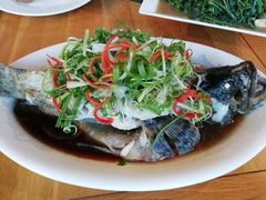 -芽庄MP泰式海鲜海景餐厅