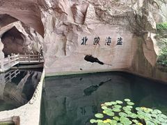 -蛇蟠岛