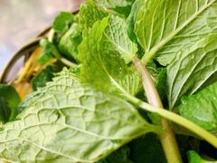 -野菌园·野生菌火锅首创第一家(关兴路总店)