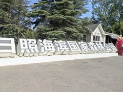 -日照海滨国家森林公园