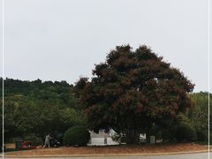 -南翠屏公园