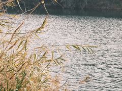 -南京市无想山景区