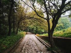 -冶父山国家森林公园