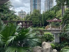 -晓港公园