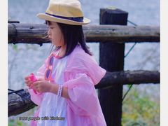 -武陵山森林公园
