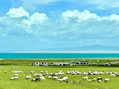 -青海湖国家重点风景名胜区