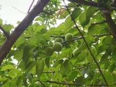 -宝能国际体育演艺中心