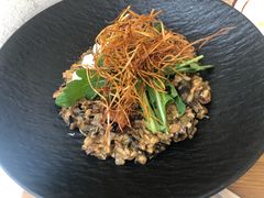 意式牛肝菌烩有机糙米-Mark&Mars Restaurant