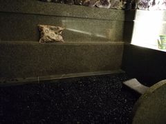 -重庆南山海昌汤都
