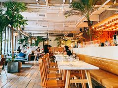 -the rug 飞毯 (朝阳公园店)
