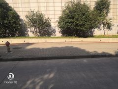 -华中科技大学光谷体育馆