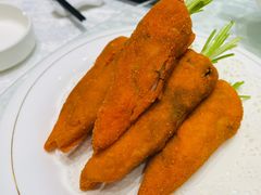 -丁老爷子苏香圆