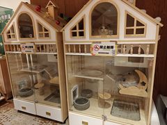 -杭州开元森泊度假乐园