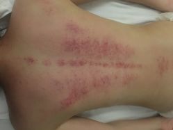 -佐登妮丝美容SPA生活馆