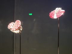 -上海当代艺术博物馆