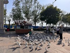 -天津妈祖文化园