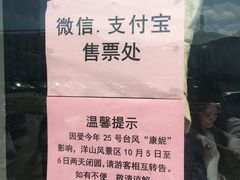 -洋山深水港