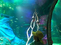 -沈阳海洋探索中心