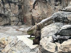 -珠海长隆海洋王国