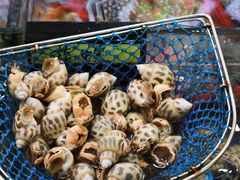 -明记海鲜大排档(巽寮湾店)