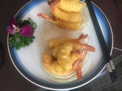 河豚-中苑海韵