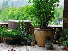 -青藤茶馆(凤起路店)