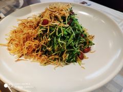 巧拌豆苗-四季民福烤鸭店(王府井灯市口店)