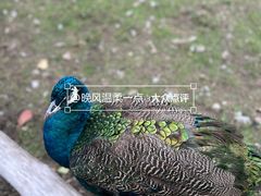 -哈尔滨北方森林动物园