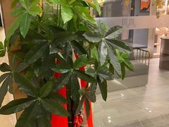 -得闲·高空SPA(东盟店)