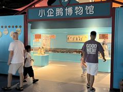 -海合安武汉极地海洋公园