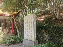 -莫干山风景区